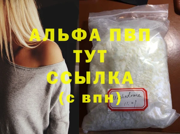 spice Гатчина