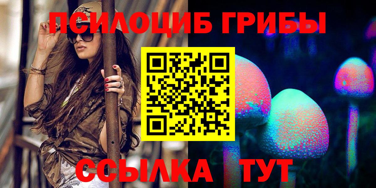 сколько стоит  Псилоцибиновые грибы мухоморы  Галлюциногенные грибы мухоморы  Вход с VPN  Павловский Посад 