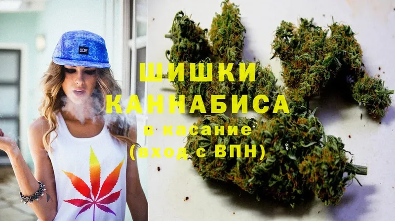 купить наркотики цена  Павловский Посад  Бошки Шишки OG Kush 